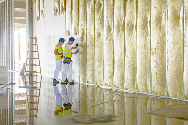 Best Residential Insulation in Brunswick, MD